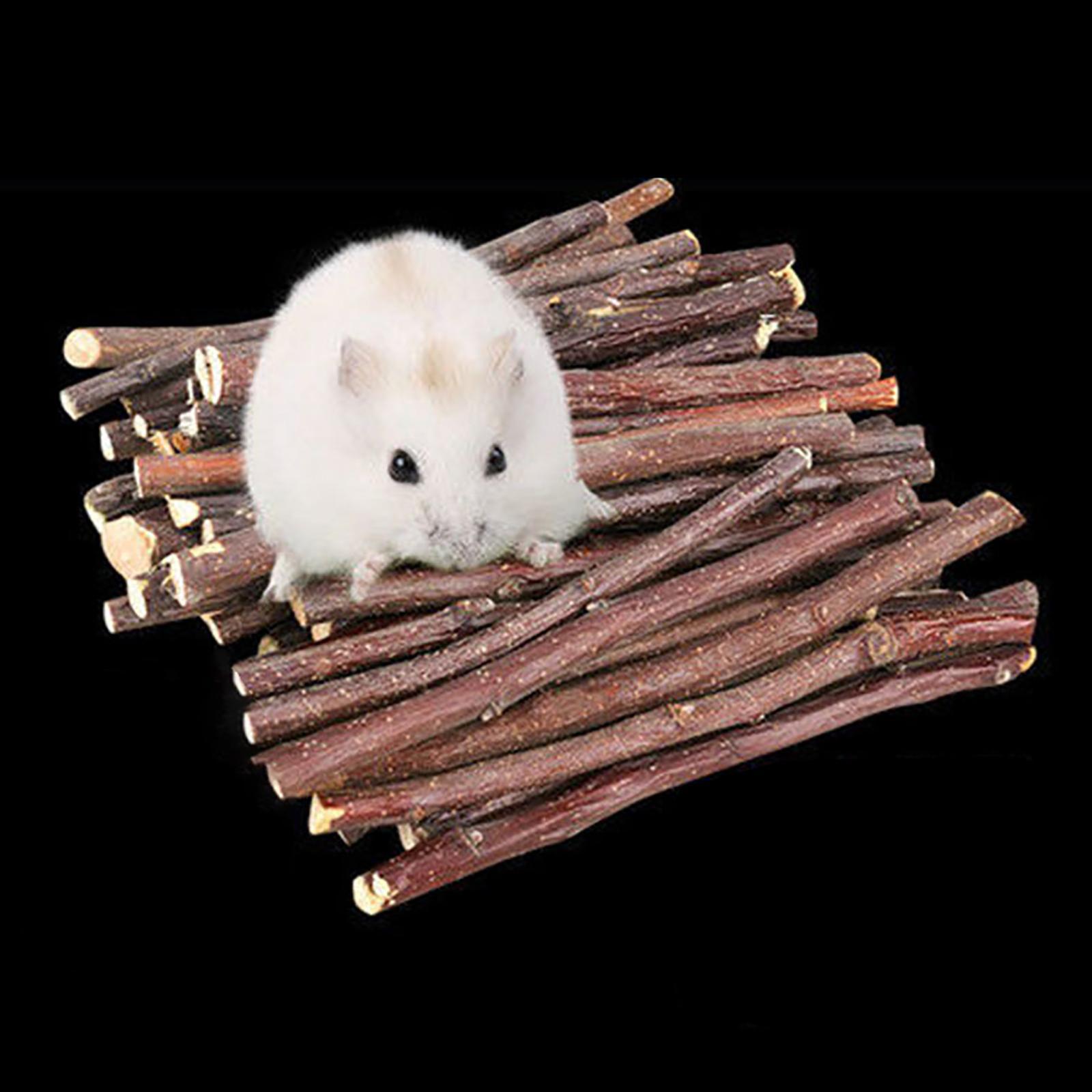 Wood Chew Sticks 1000g Hamster Groundhog Squirrels Rodent Animals