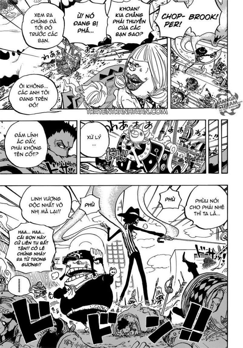 đảo hải tặc - one piece chapter 876 14