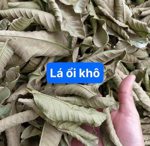 Lá ổi khô - Sản phẩm hữ cơ tự nhiên gói 1kg
