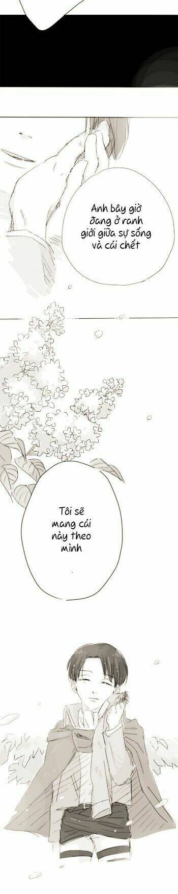 tấn công người khổng lồ - doujinshi eruri chapter 25 12