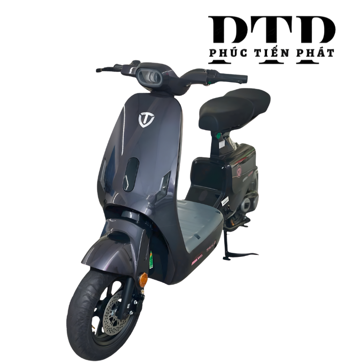 Xe Điện TAILG GR55 Plus