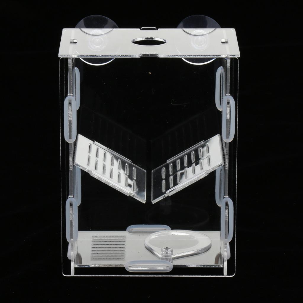 Aquarium  Tank Plastic Floating Isolation Divider Breeding Box