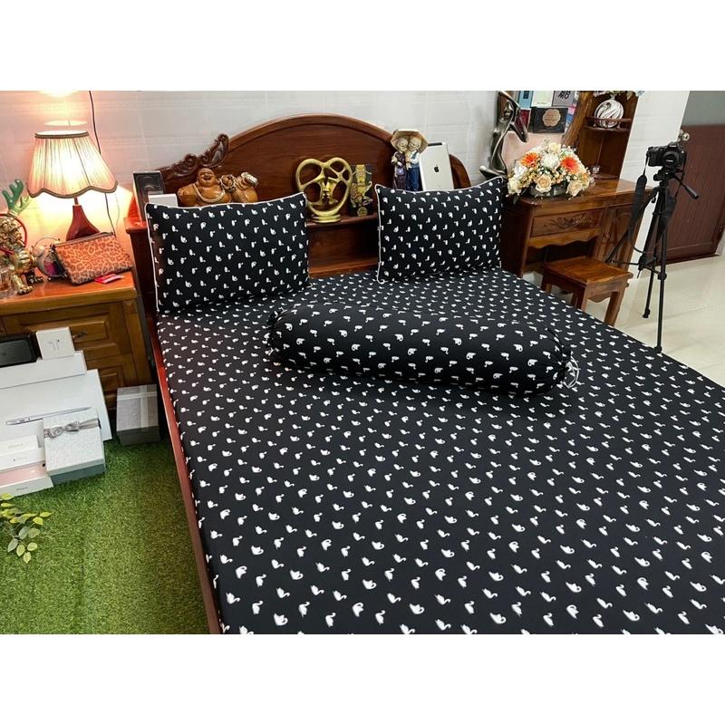 Drap thun siêu lạnh