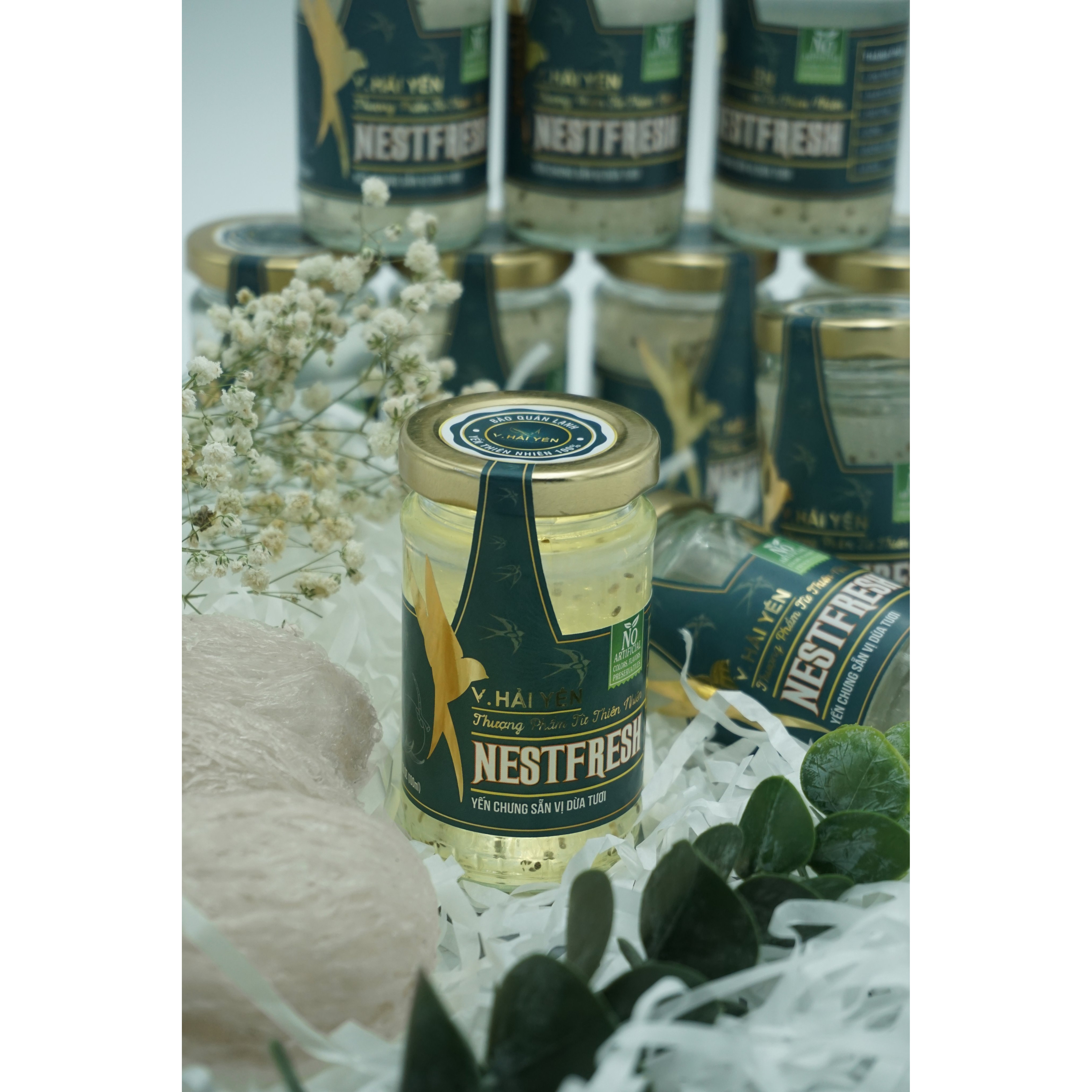 Yến Tươi Chưng Sẵn Nestfresh Vị Dừa Tươi 100ml