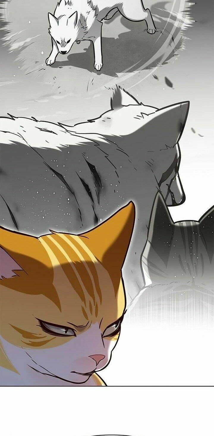 biến thân thành mèo chapter 165 50