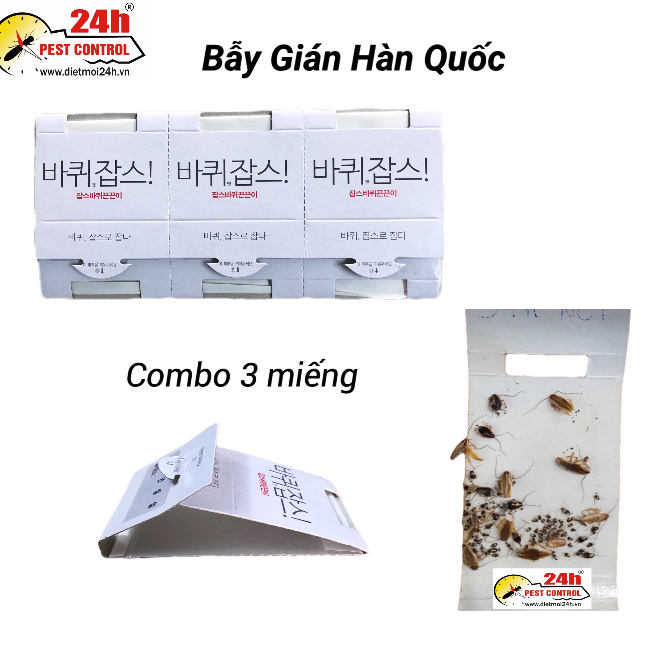 Combo 3 bẫy gián  Hàn Quốc siêu dính ,  chất lượng tốt, diệt gián hiệu quả