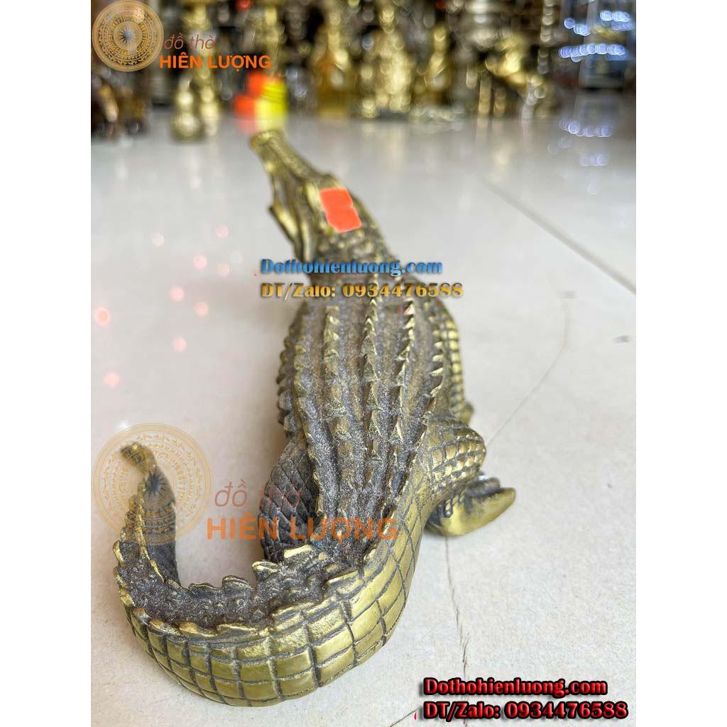Tượng Cá Sấu Bằng Đồng Vàng Nguyên Chất Trang Trí Bàn Việc Dài 25cm
