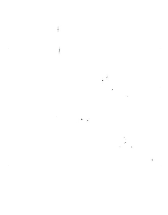 [18+] Nước Mắt Trên Đóa Hoa Tàn chapter 12.1 16