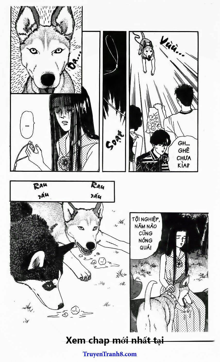 doubutsu no oishasan chapter 97 16