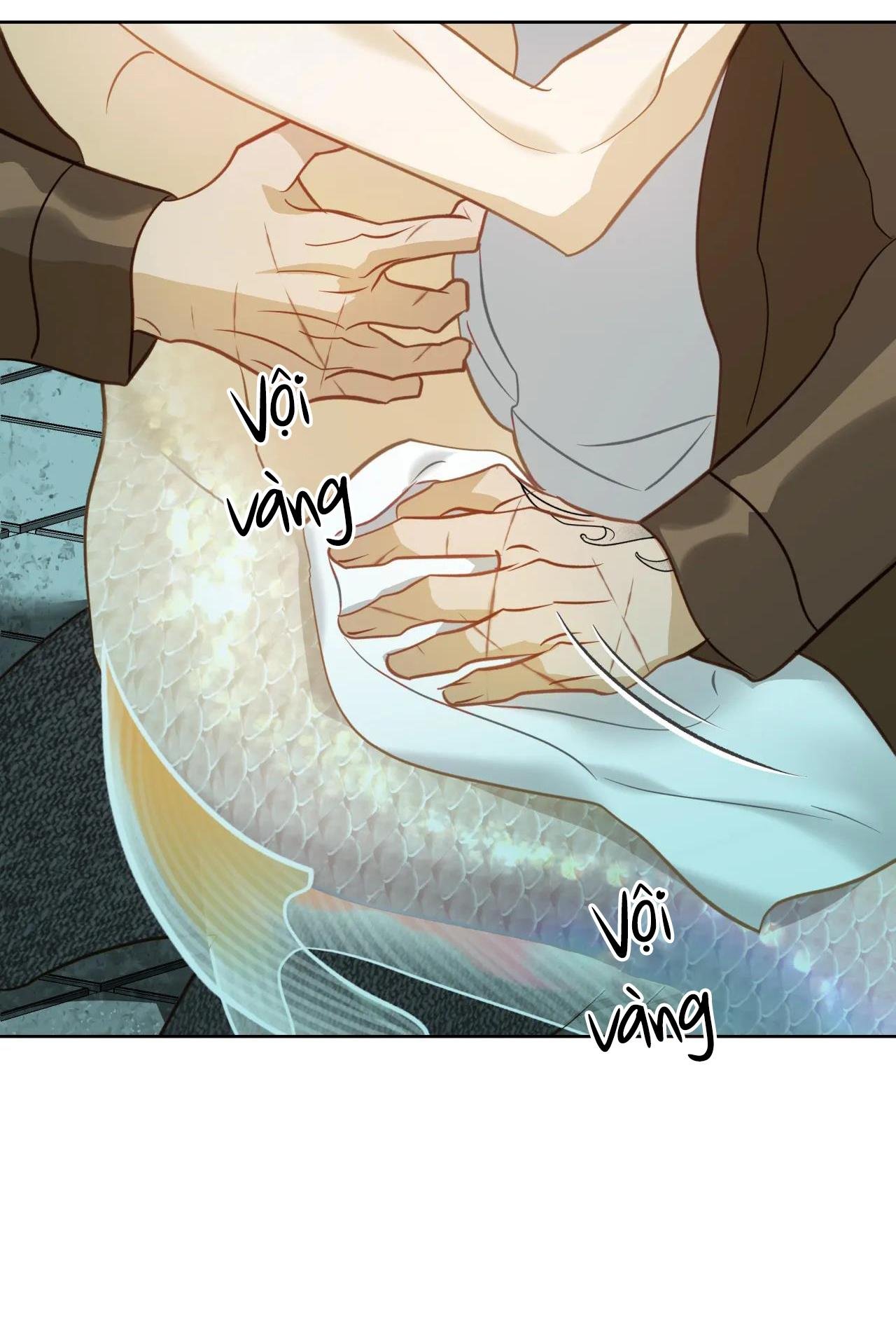 mỹ nhân ngư chapter 5 51