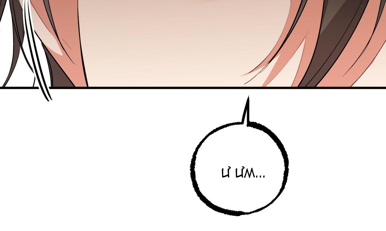 đàn thỏ của habibi chapter 48 3