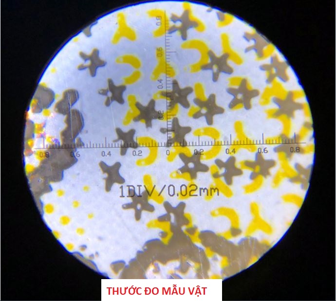 Kính lúp mini cầm tay có đèn trợ sáng phóng đại 100 lần tích hợp thước đo