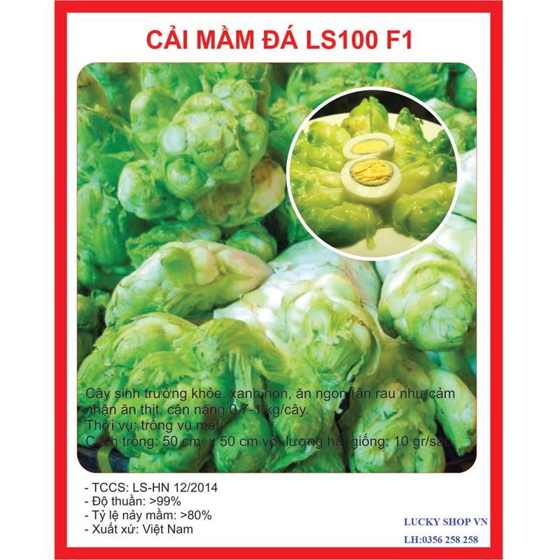 Hạt giống rau cải mầm đá F1 - 0,2gr/gói