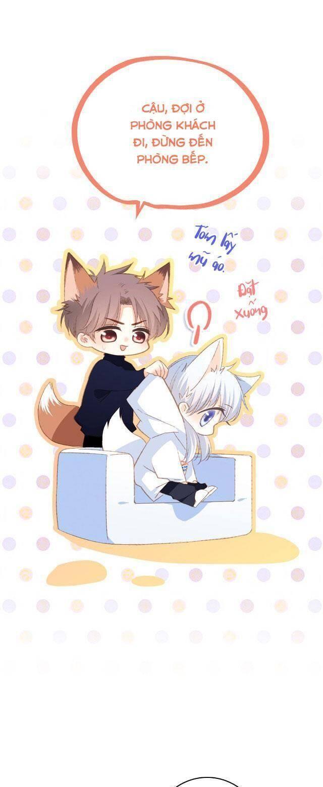 con tim rung động 2 chapter 98.2 11