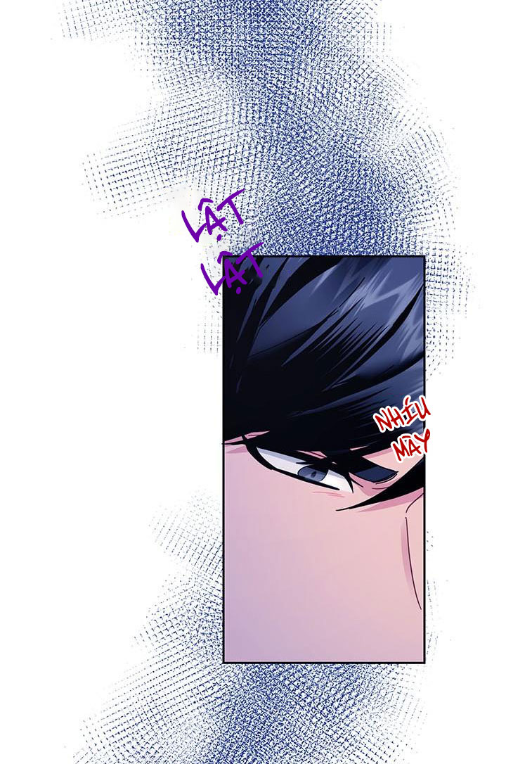 công chúa của loài chim chapter 40.2 14