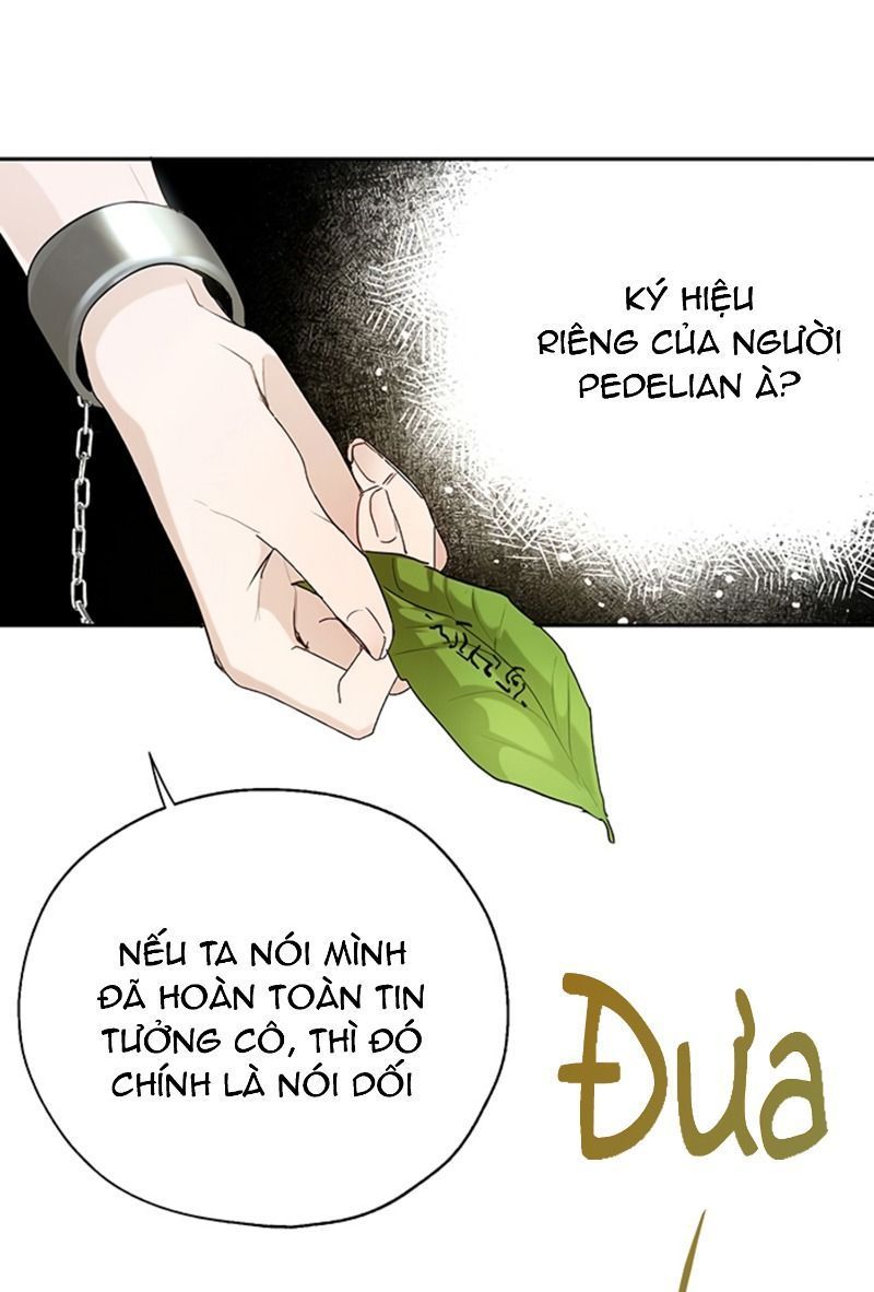 cách để cứu rỗi anh trai của nữ chính chapter 19 50