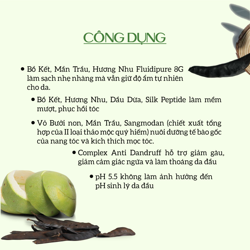 Dầu gội thảo dược ECOCARE 300ml đạt chuẩn CGMP, dầu gội xả thảo mộc giúp sạch gàu, giảm rụng tóc