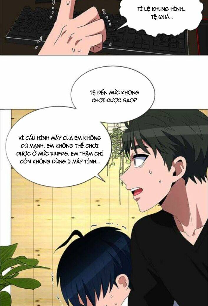 no scope chapter 115 42