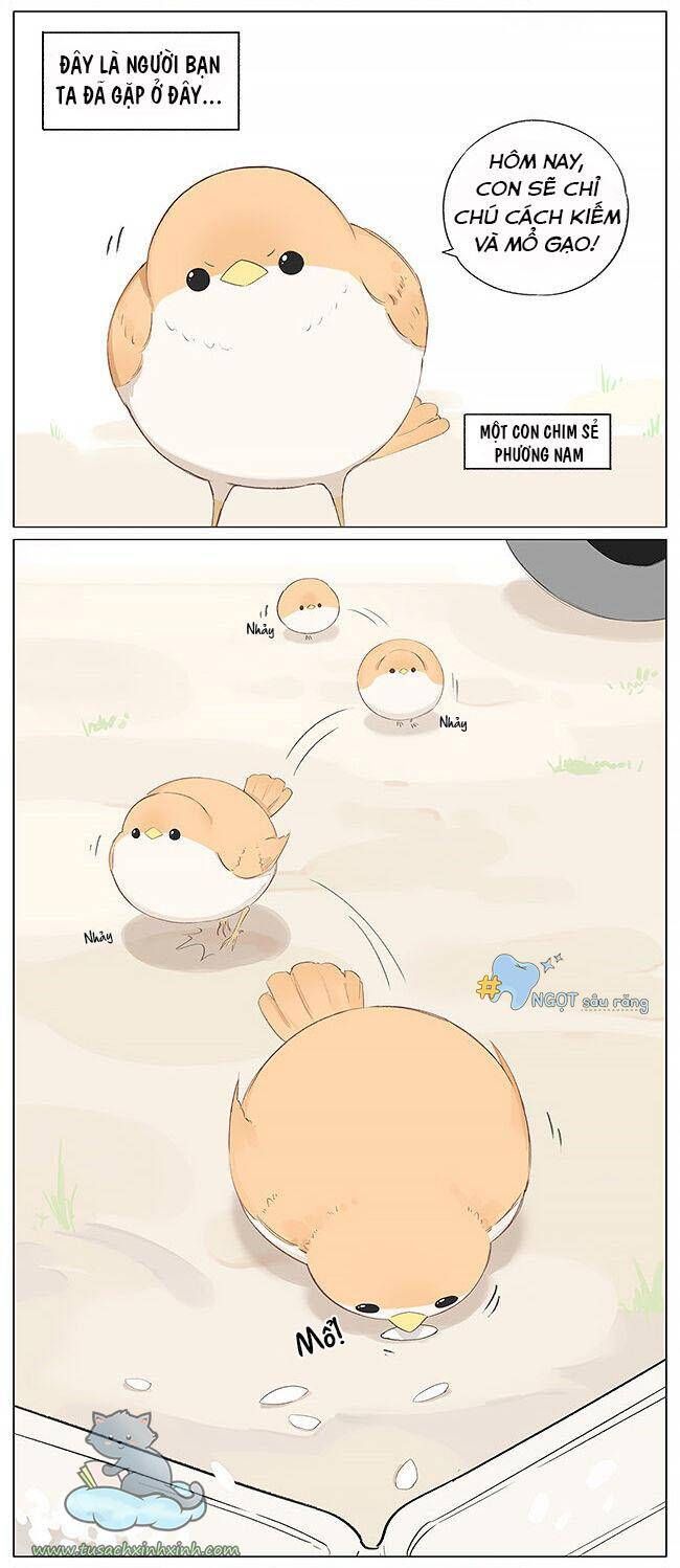 chim sẻ gọi ngỗng trời chapter 4 3