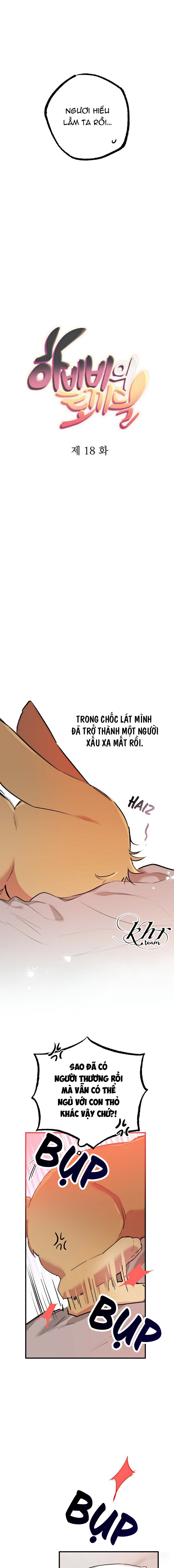 những chú thỏ của hapypy chapter 18 6