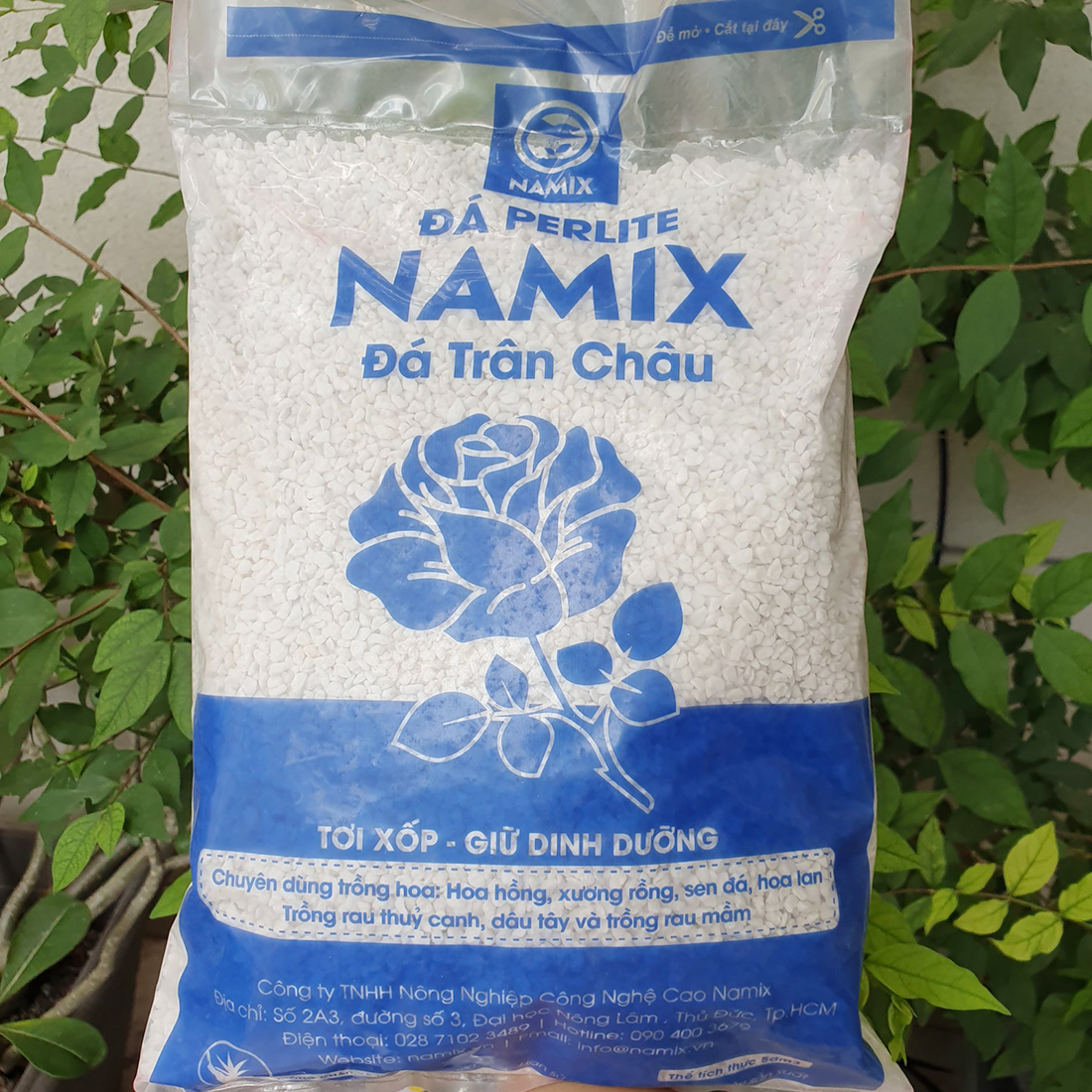 ĐÁ PERLITE  trồng cho cây cảnh lá, sen đá hay cây đột biến indoor 5dm3