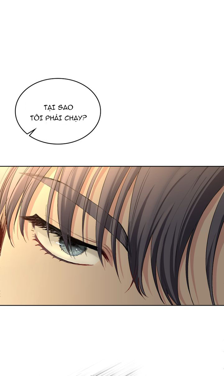 tìm lại nàng camellia chapter 0 2