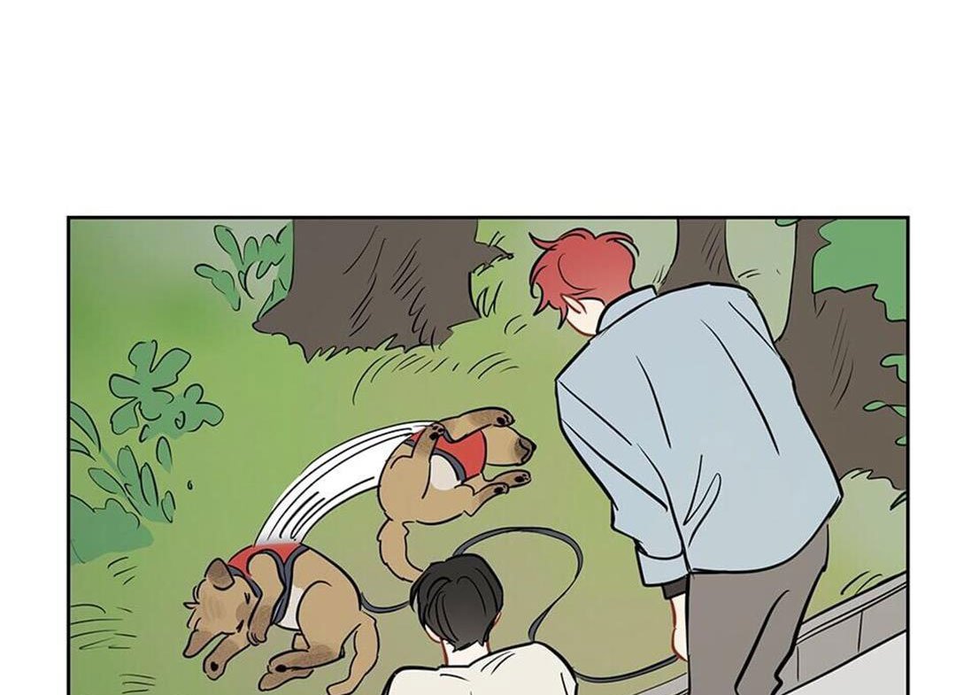 chuyện quái gì với giấc mơ đó vậy chapter 41 75