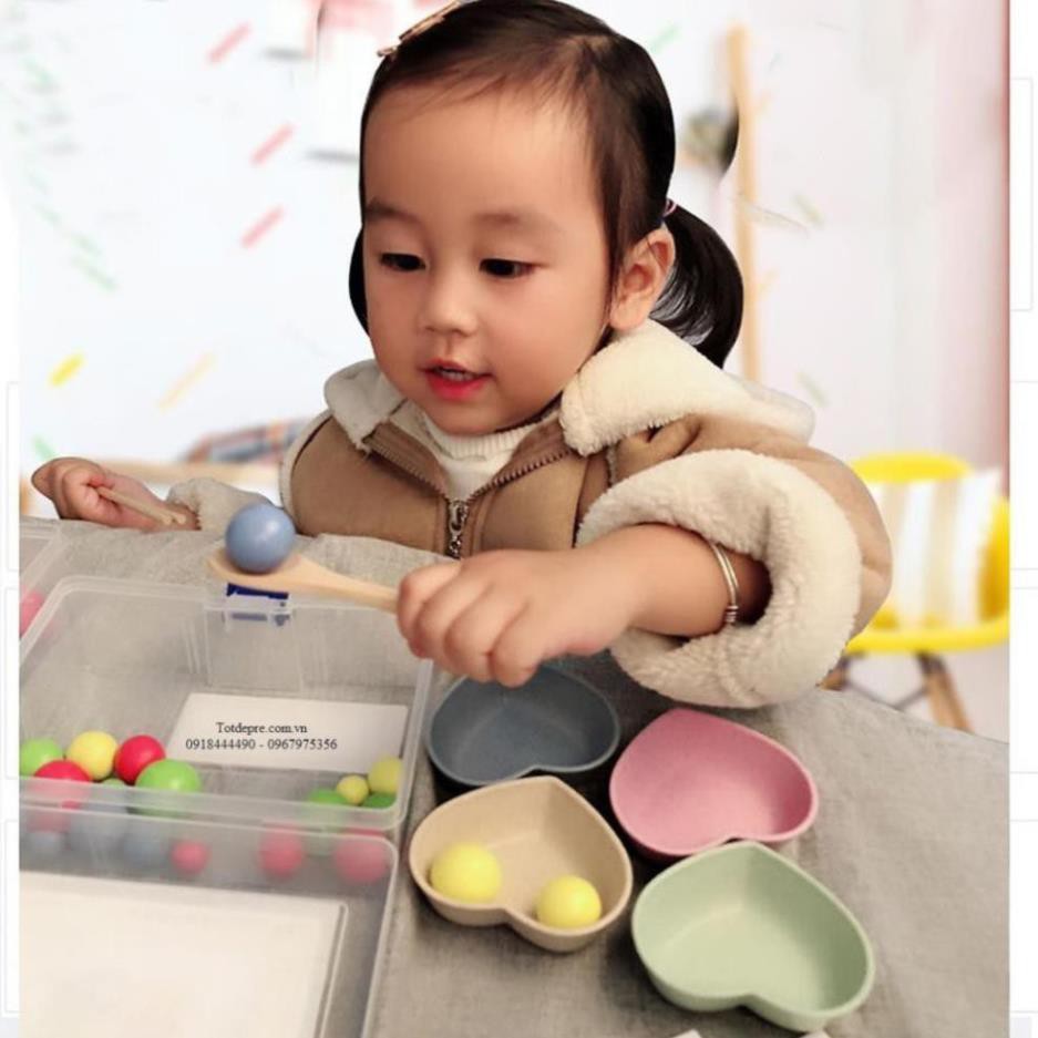 Đồ chơi gỗ Montessori bộ gắp hạt số đếm cho bé