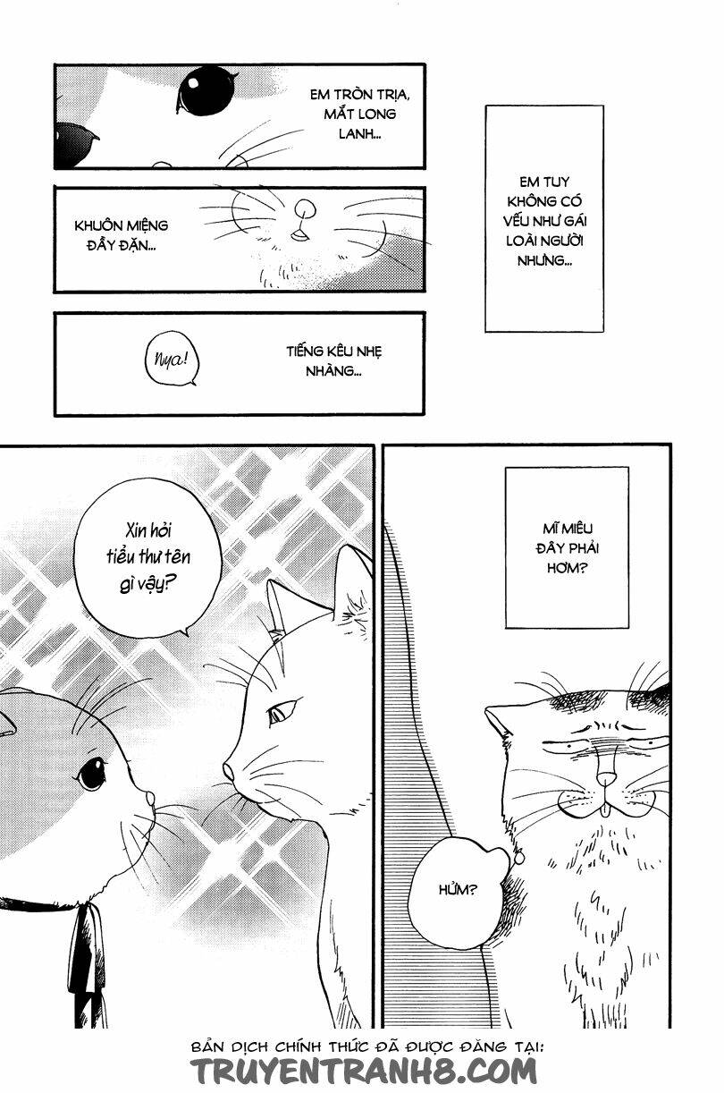 tui là busamen! chapter 3 4