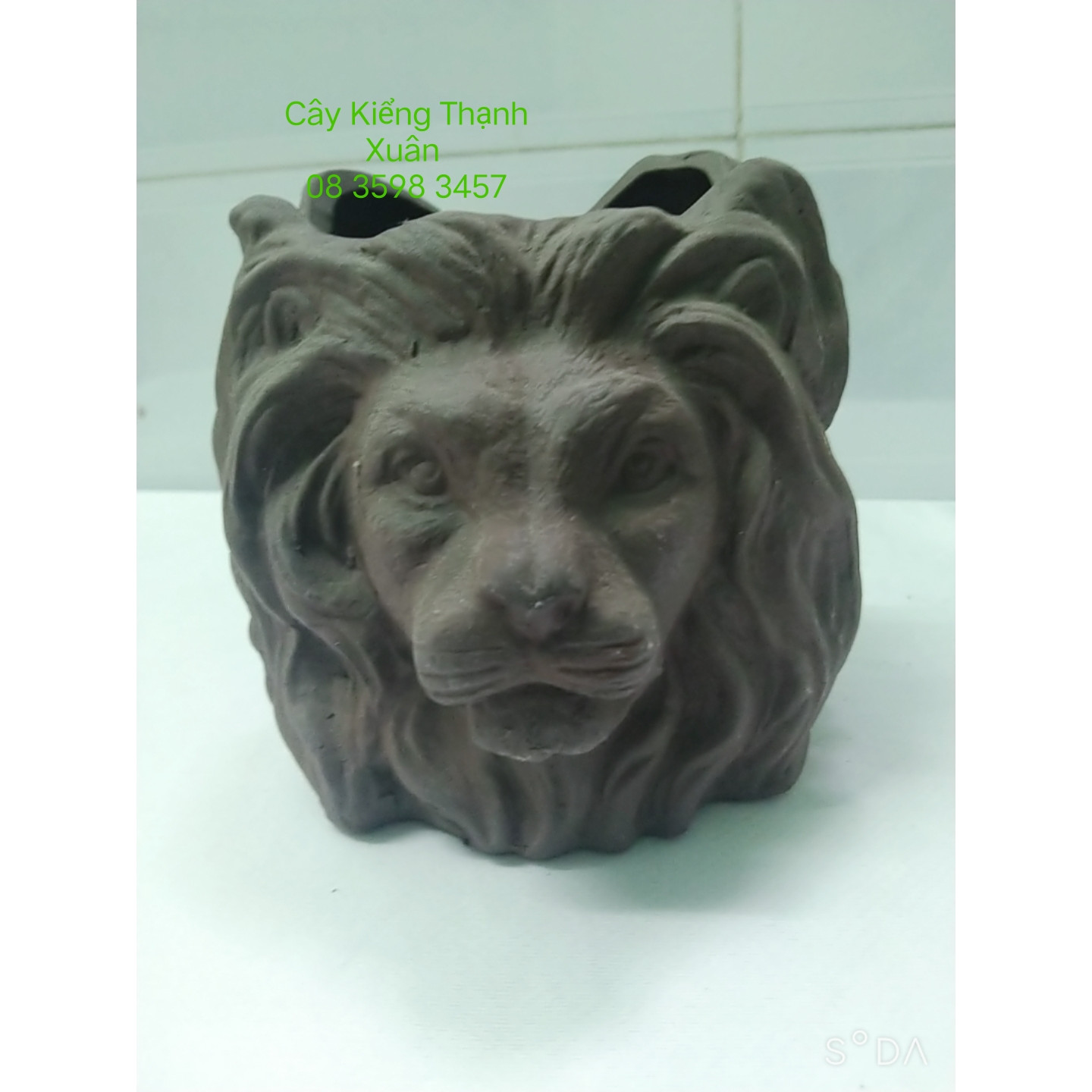 Chậu đất nung trồng cây - Chậu trồng cây sen đá, xương rồng Hình Sư Tử   có lỗ thoát nước