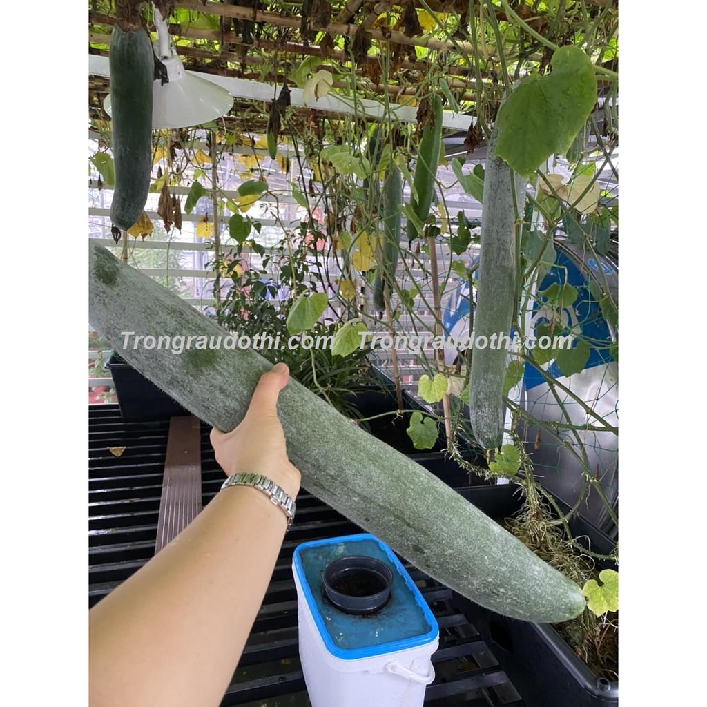 Combo 5 Khay Trồng Rau Bán Thủy Canh Dosa - Cung Cấp Bởi Trồng Rau Đô Thị