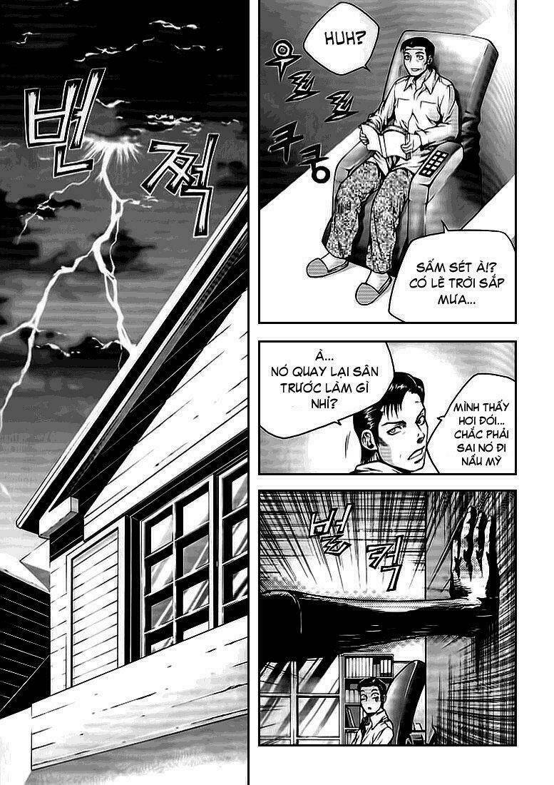 zippy ziggy chapter 19 20