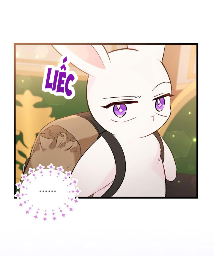 mối liên kết giữa báo đen và bé thỏ chapter 62 9