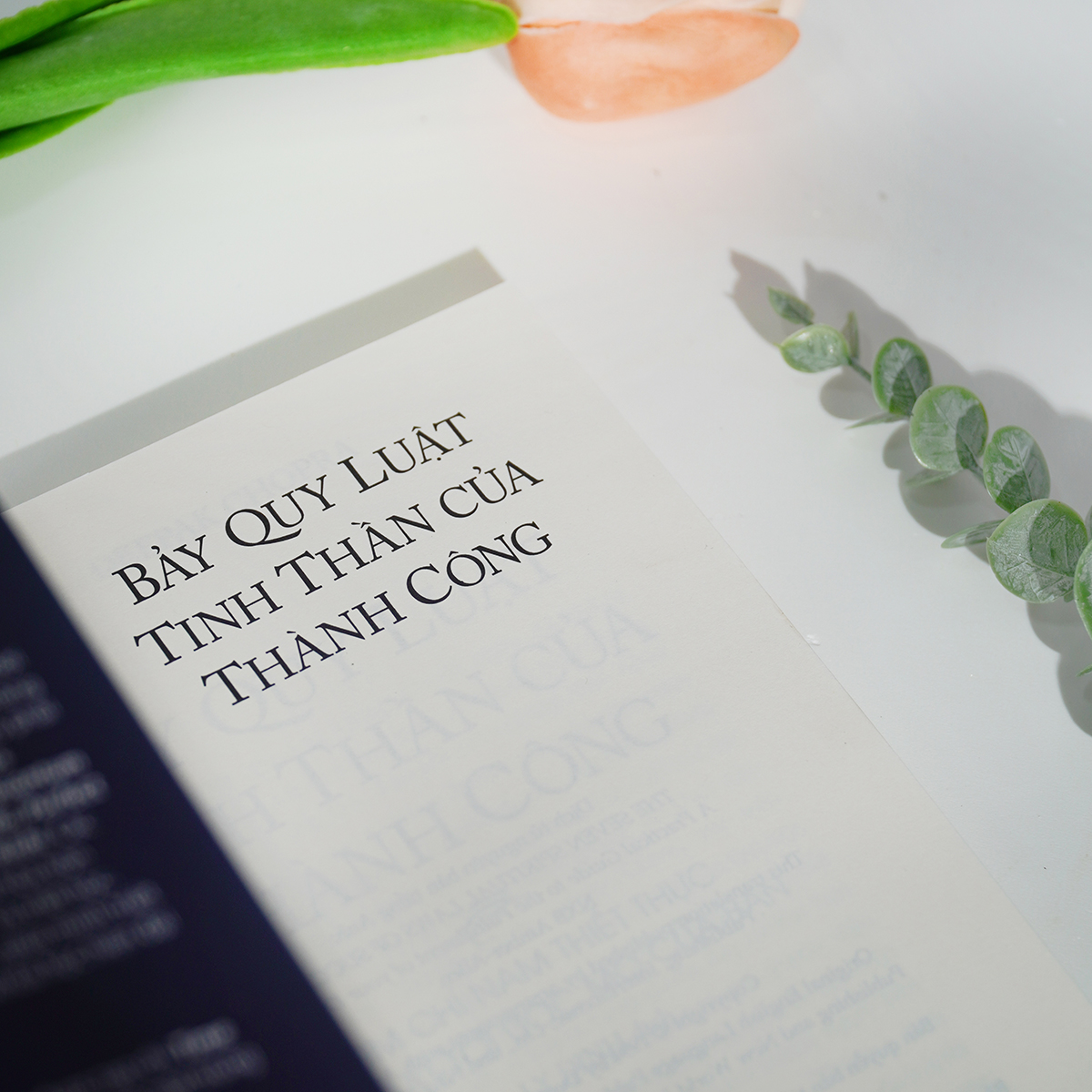 Sách Bảy Quy Luật Tinh Thần Của Thành Công Tác Giả Deepak Chopra