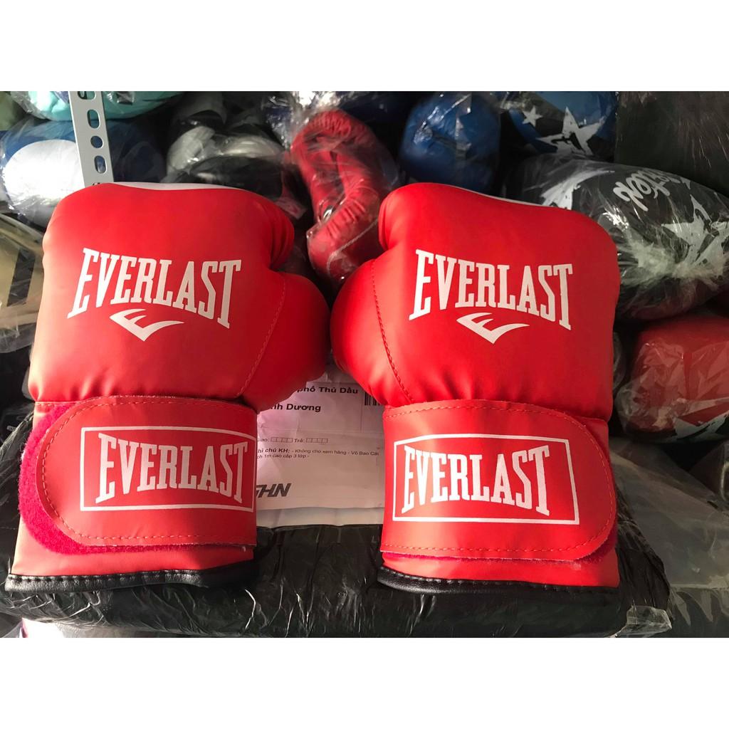 1 cặp găng boxing everlast