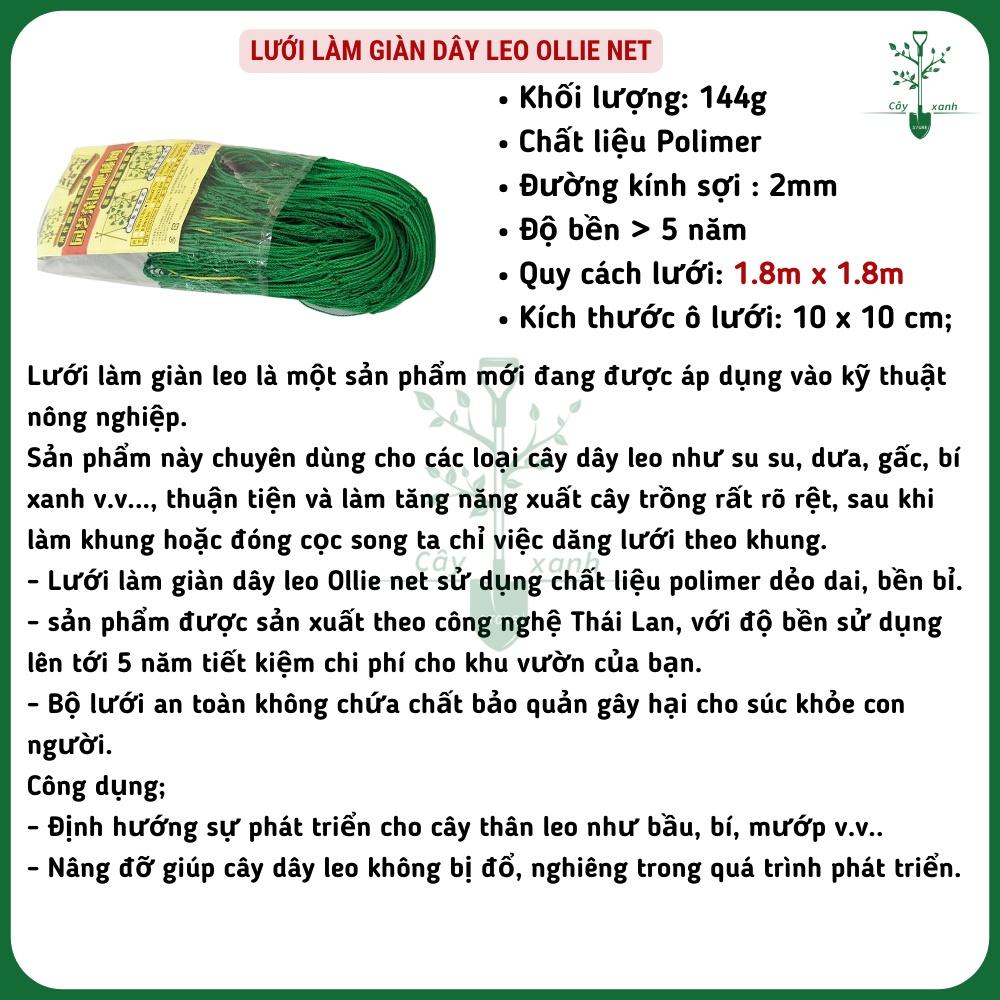 Lưới Làm Giàn Dây Leo Lưới Làm Giàn Dưa Leo, Hoa, Đậu Leo, Giàn Cây Bền Chắc