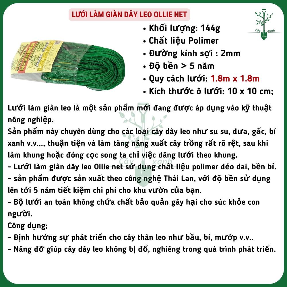 Lưới Làm Giàn Dây Leo (1,8m x 1,8m) Lưới Làm Giàn Dưa Leo, Hoa, Đậu Leo, Giàn Cây Bền Chắc