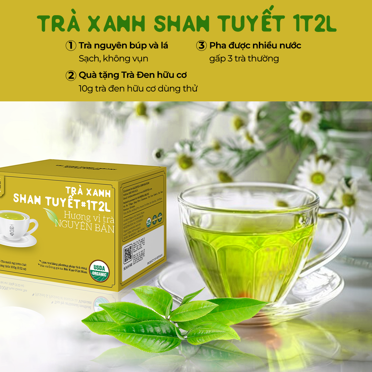 Trà Xanh Shan Tuyết Cổ thụ Loại Hảo hạng | 100% chứng nhận hữu cơ USDA Organic Hoa Kỳ | Loại Búp và Nguyên Lá | Thơm mật ong, Đậm vị, ngọt hậu sâu 100g