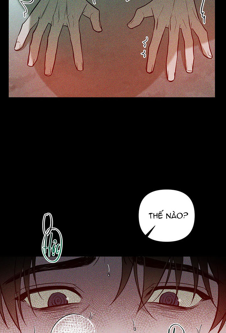 bình minh chia cắt màn đêm chapter 16 8