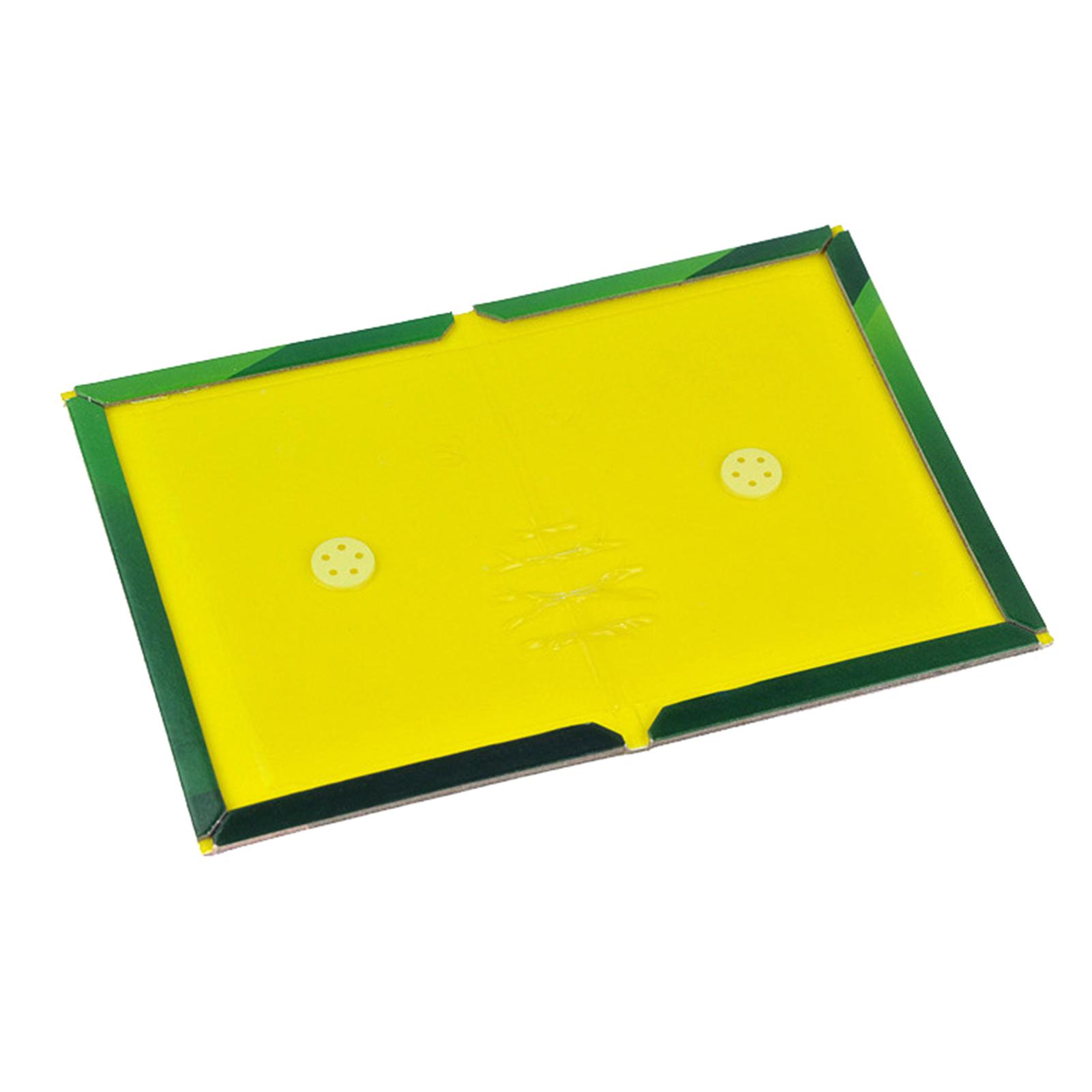 Bẫy chuột Snare Cather Pad sử dụng cho văn phòng , nhà ở