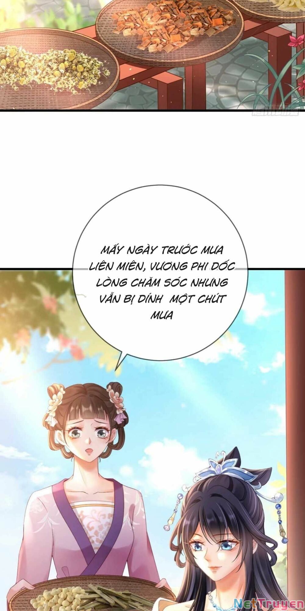 sự trả thù của vương phi chapter 8 2