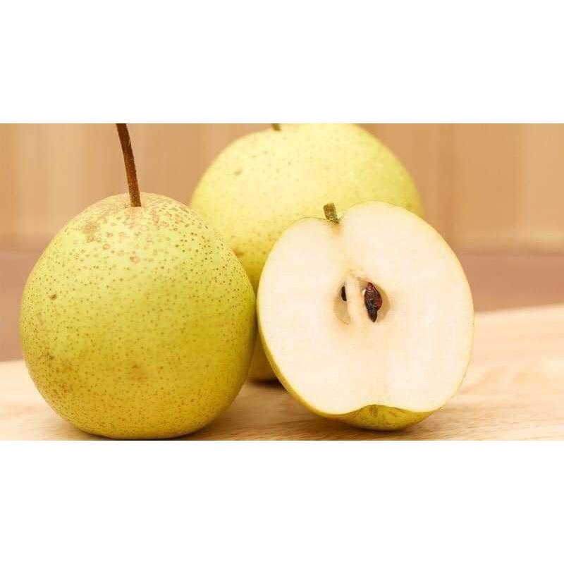 CÂY GIỐNG LÊ VÀNG TỨ QUÝ