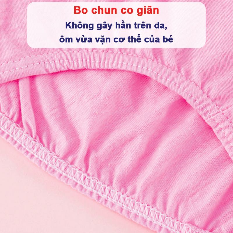 Set 5 quần chip kháng khuẩn cho bé gái, Hộp 5 quần lót cho bé gái 1-12 tuổi xuất Hàn cao cấp chất cotton Baby-S - SC024