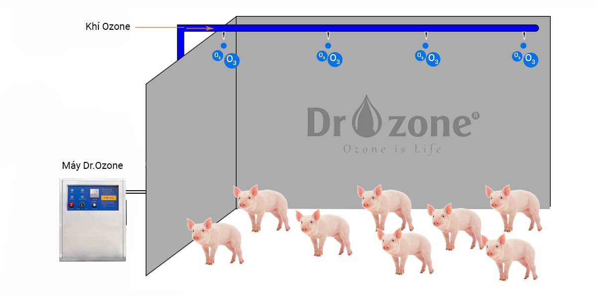 Máy Ozone công nghiệp 1g/h khử trùng nước uống, nước sinh hoạt Dr.Ozone D1 - Hàng Chính hãng