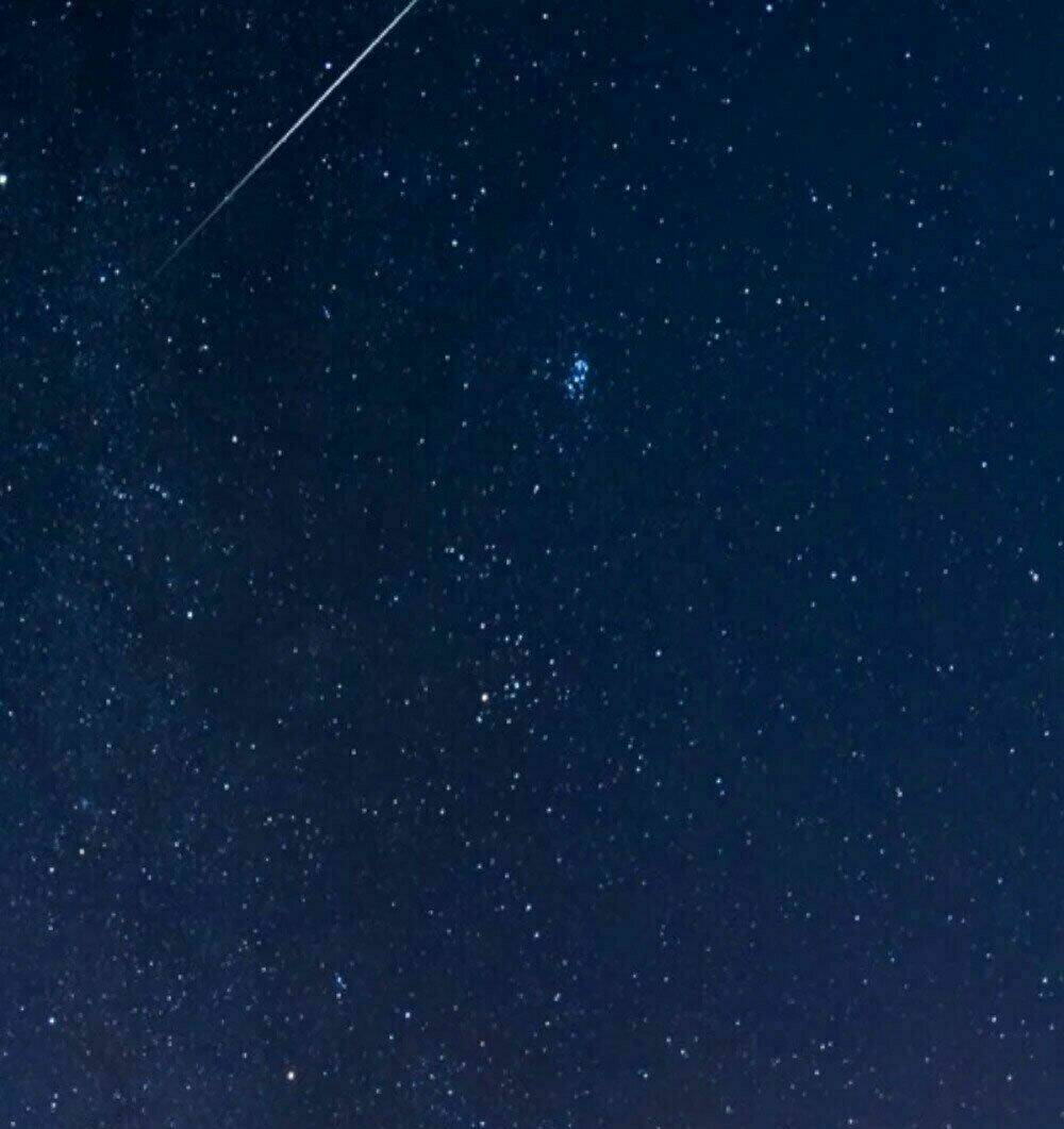 danh môn độc sủng ái thê chapter 33 15