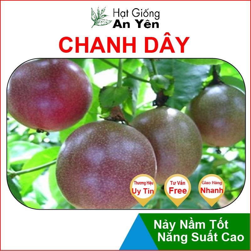 Hạt giống Chanh Dây Cao Sản thu hoạch sớm, dễ trồng, nảy mầm cao, sinh trưởng khoẻ