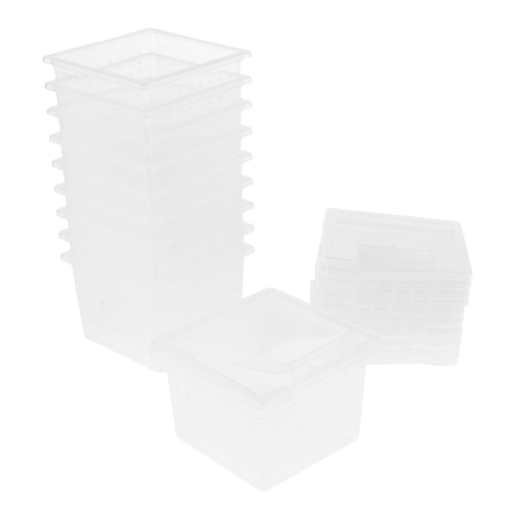 Set of 40 Clear Reptile Spider Lizard Scorpion Breeding Box Container Cage