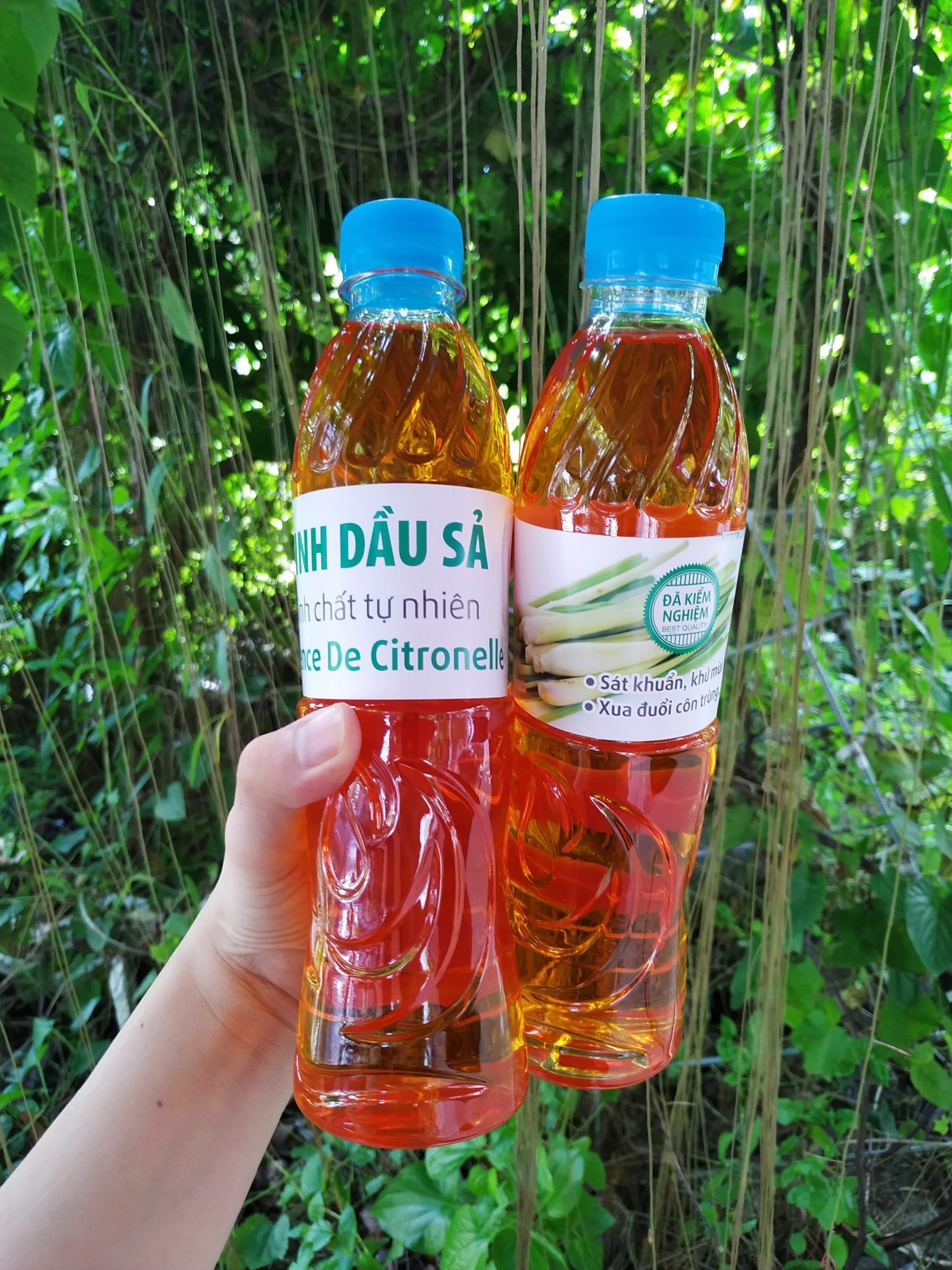 Tinh dầu sả lau nhà, chai 500ml