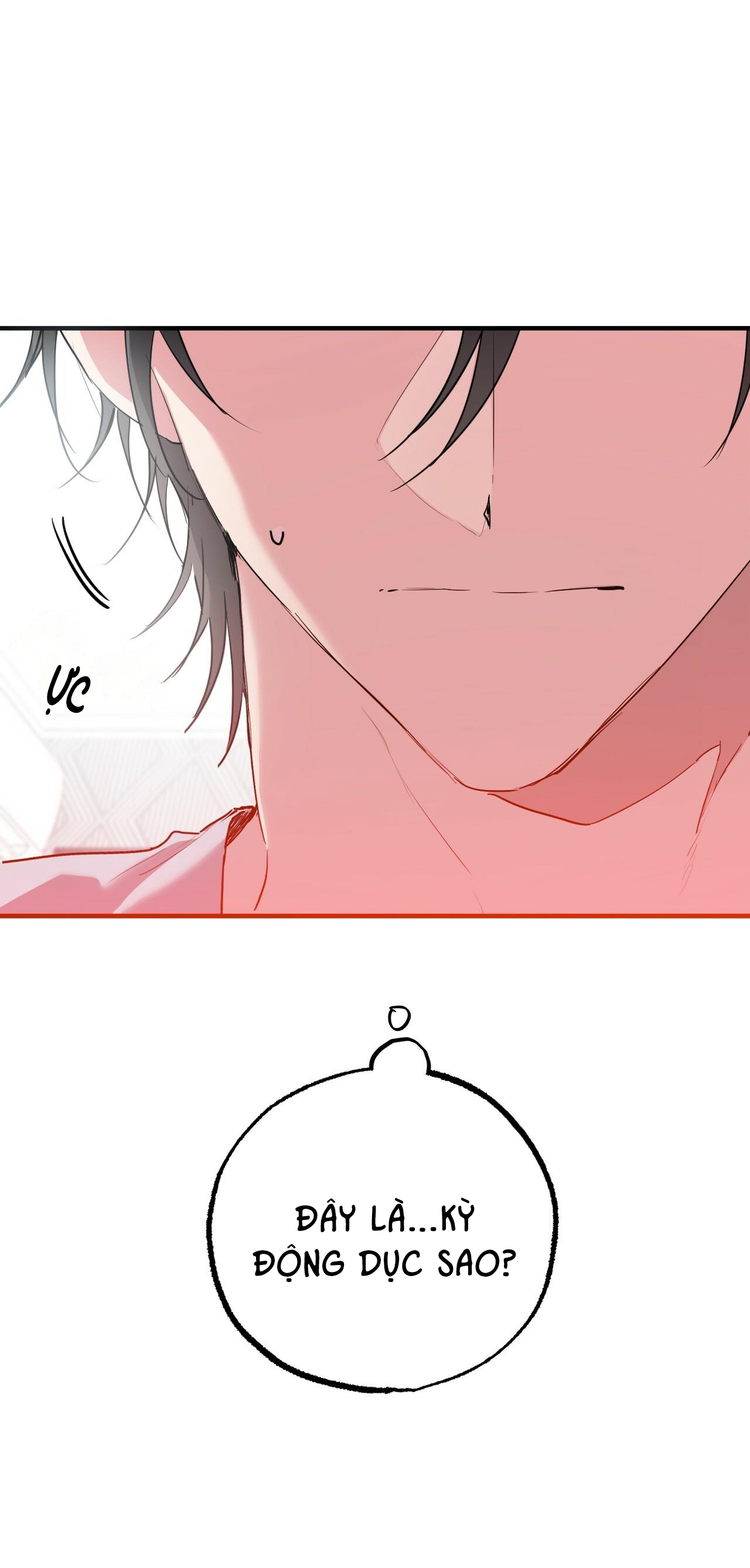 những chú thỏ của hapypy chapter 16 1