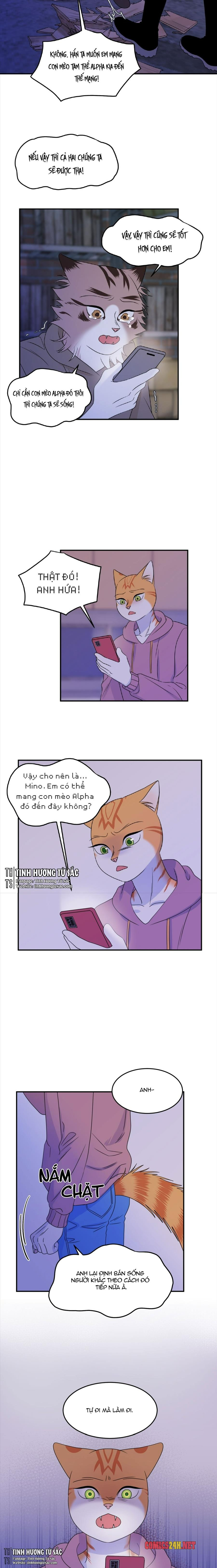 dự án xanh chapter 16 6